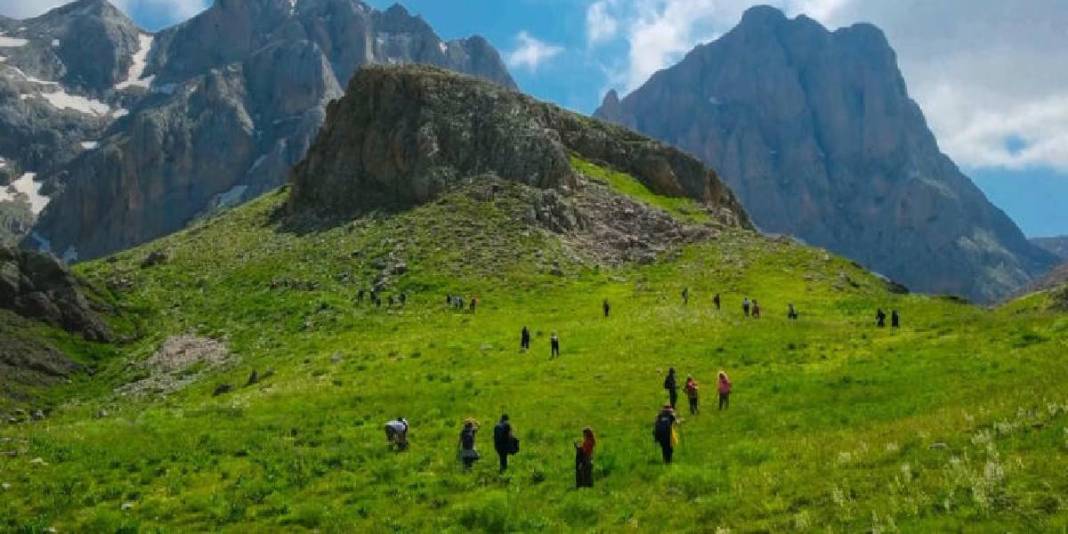 Kartpostal gibi dursa da gerçek! Erzincan’ın 2.500 rakımlık yaylası göz kamaştırıyor 3